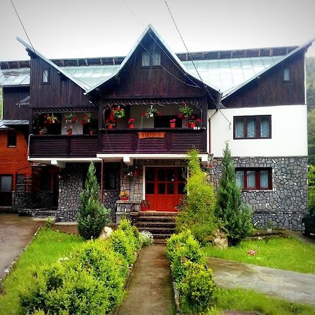 Hotel Vila Vanturis Sinaia Exteriér fotografie