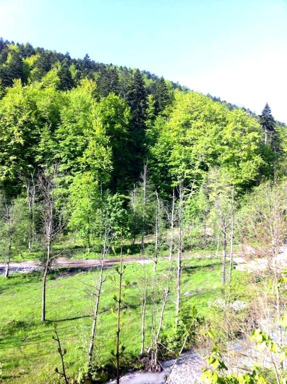 Hotel Vila Vanturis Sinaia Exteriér fotografie