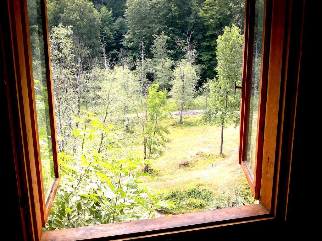 Hotel Vila Vanturis Sinaia Exteriér fotografie
